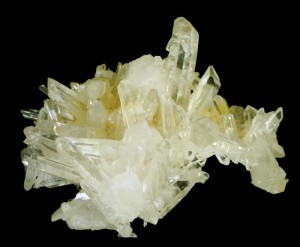 Arkansas Golden Healer